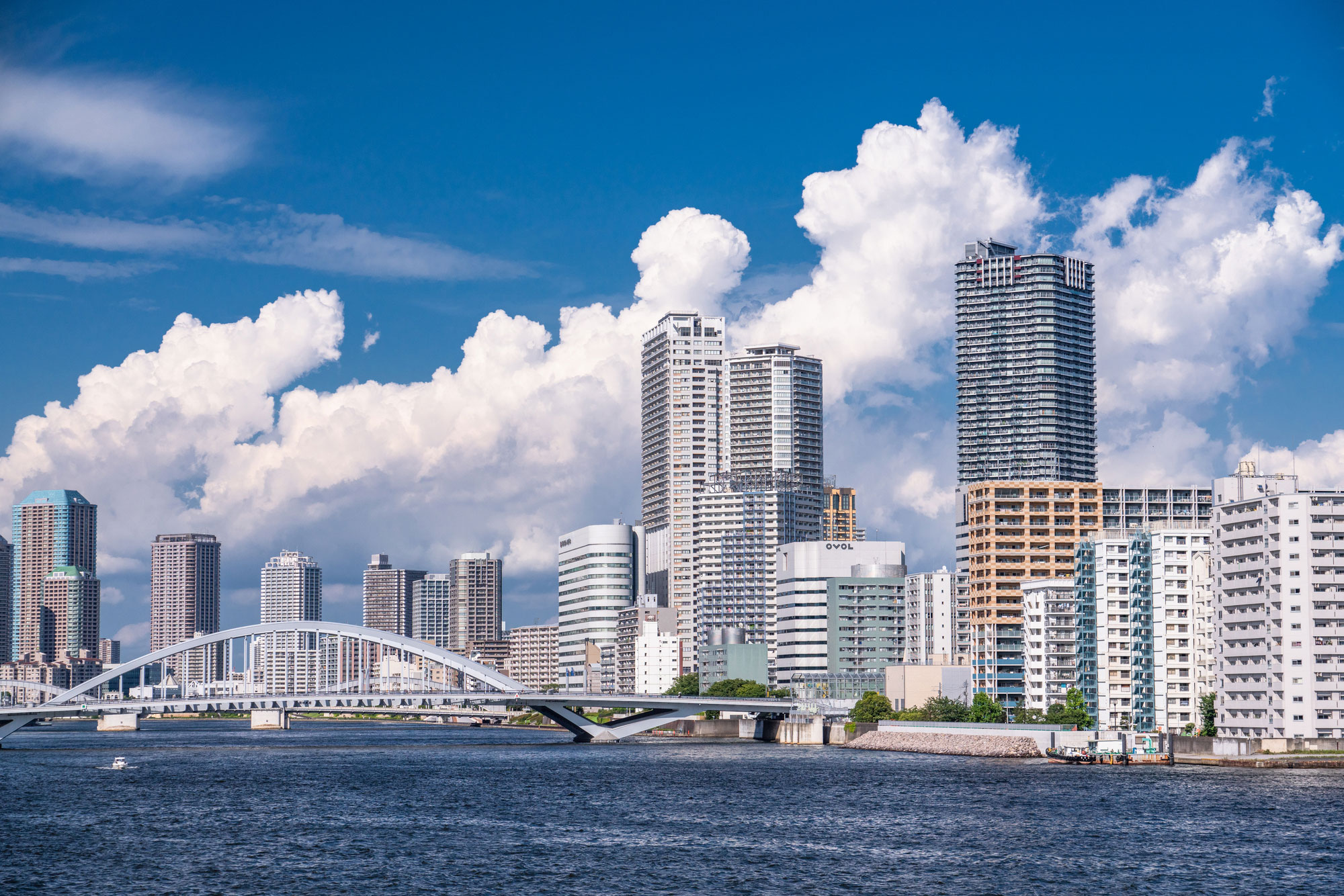 東京ベイエリア・タワーマンション群と夏の空